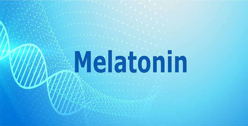 What is the drug melatonin