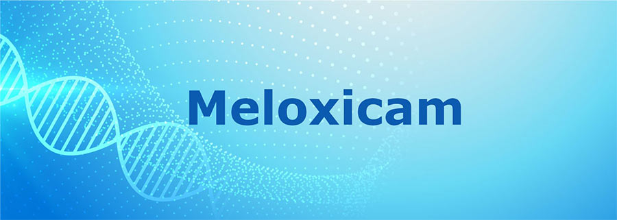 Contraindications to the use of meloxicam