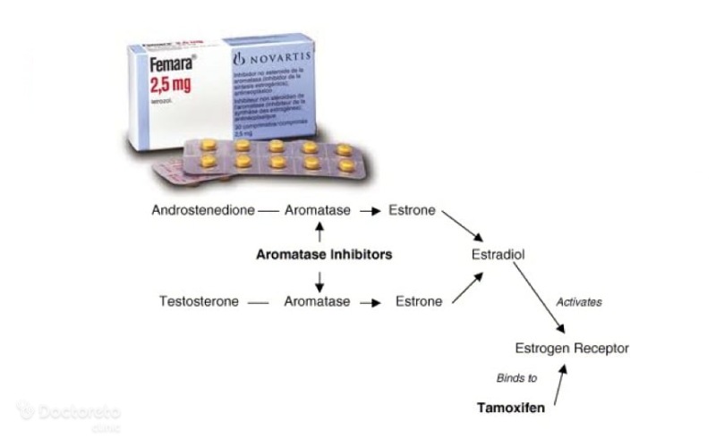تداخلات دارویی قرص لتروزول با داروهای دیگر